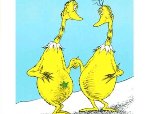 Thinking About Sneetches